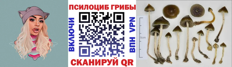 Псилоцибиновые грибы прущие грибы  Дзержинский 